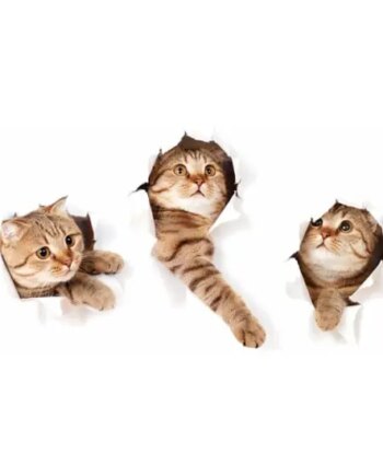 Katte   Wallsticker    På   Vej   Igennem   Væggen