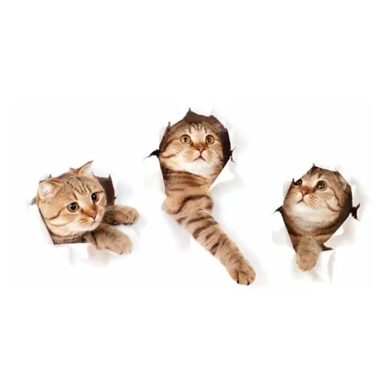 Katte Wallsticker På Vej Igennem Væggen