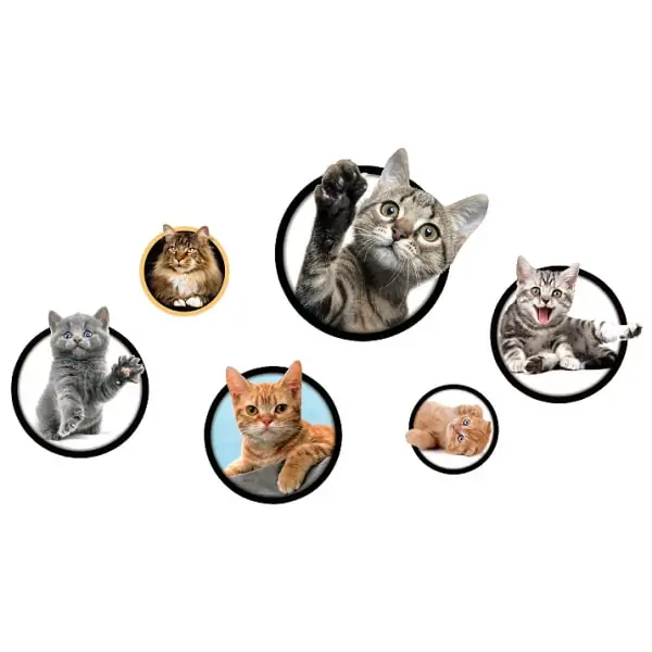 Katte Wallsticker Søde Kattekillinger