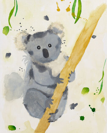 Koala   Af   Leo   Mio