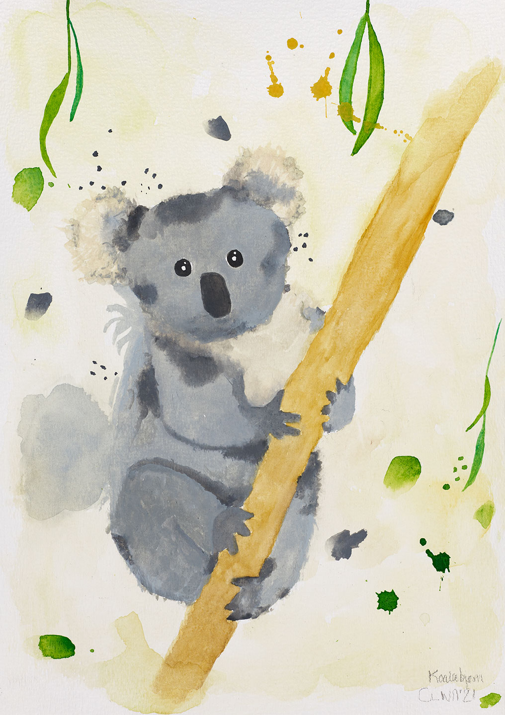Koala   Af   Leo   Mio