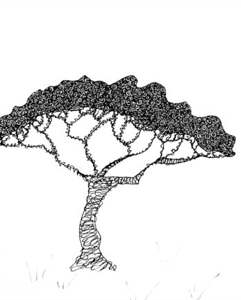 Krusedulletræ   Af   Cilia   Sindt