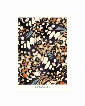 Le   Papillon