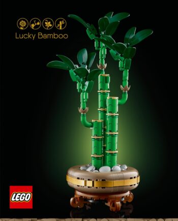 Lego   10344   Botanicals   Lucky   Bamboo   Geekd   Dk