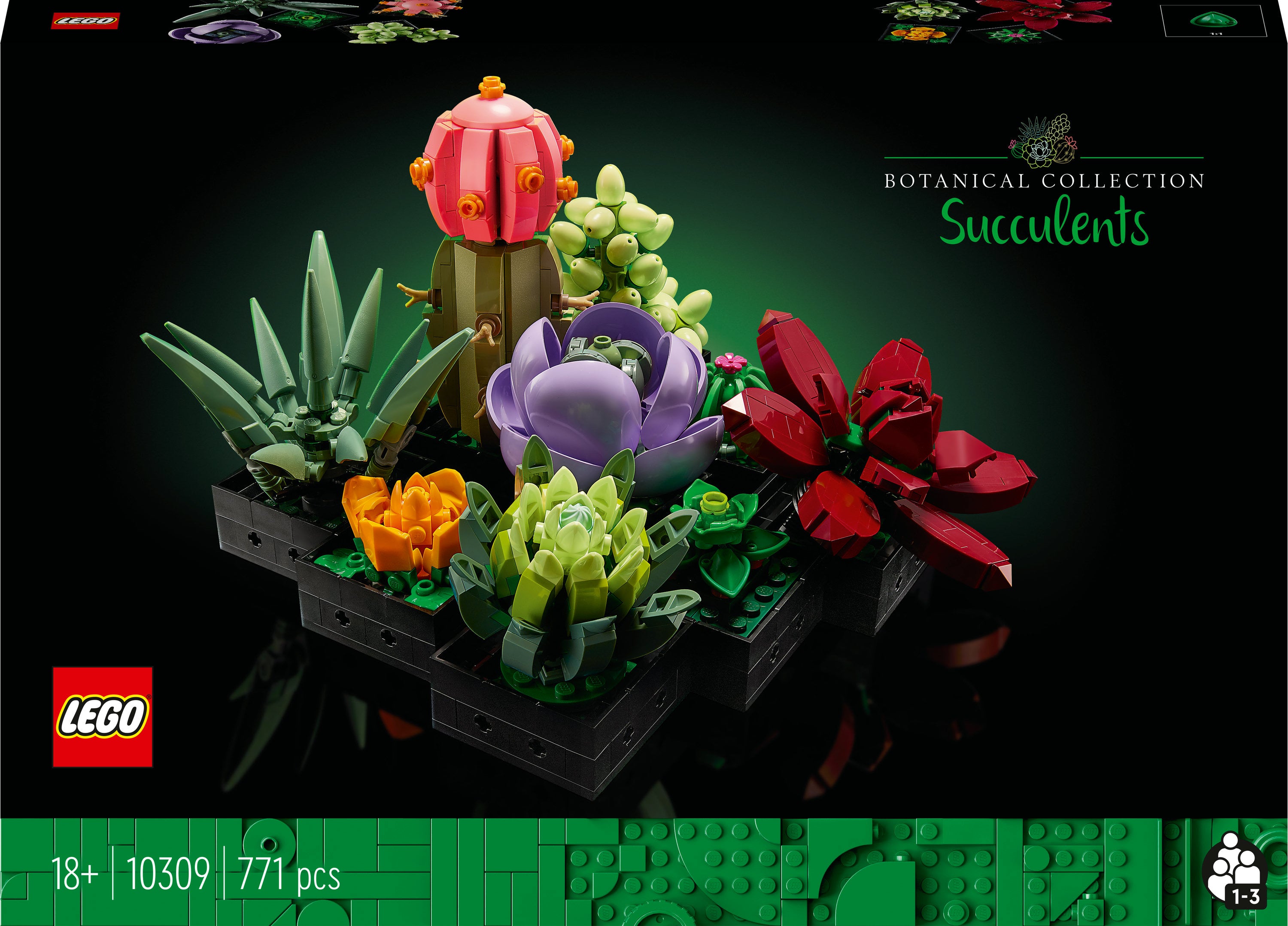Lego   10309   Icons   Sukulenter   Geekd   Dk