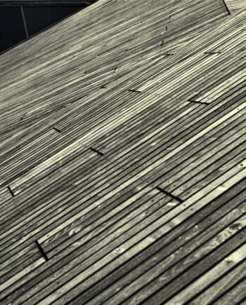 Lines   Af   Gustavo   Orensztajn