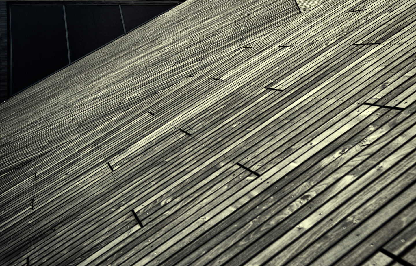Lines   Af   Gustavo   Orensztajn