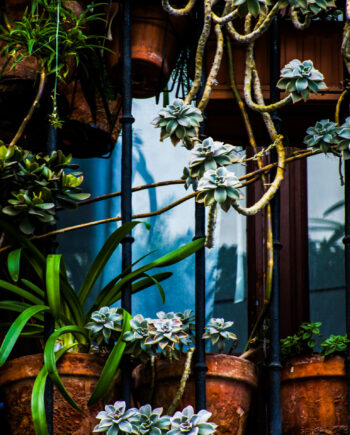 Madrid   Balcony   Af   Kirsten   Stigsgaard