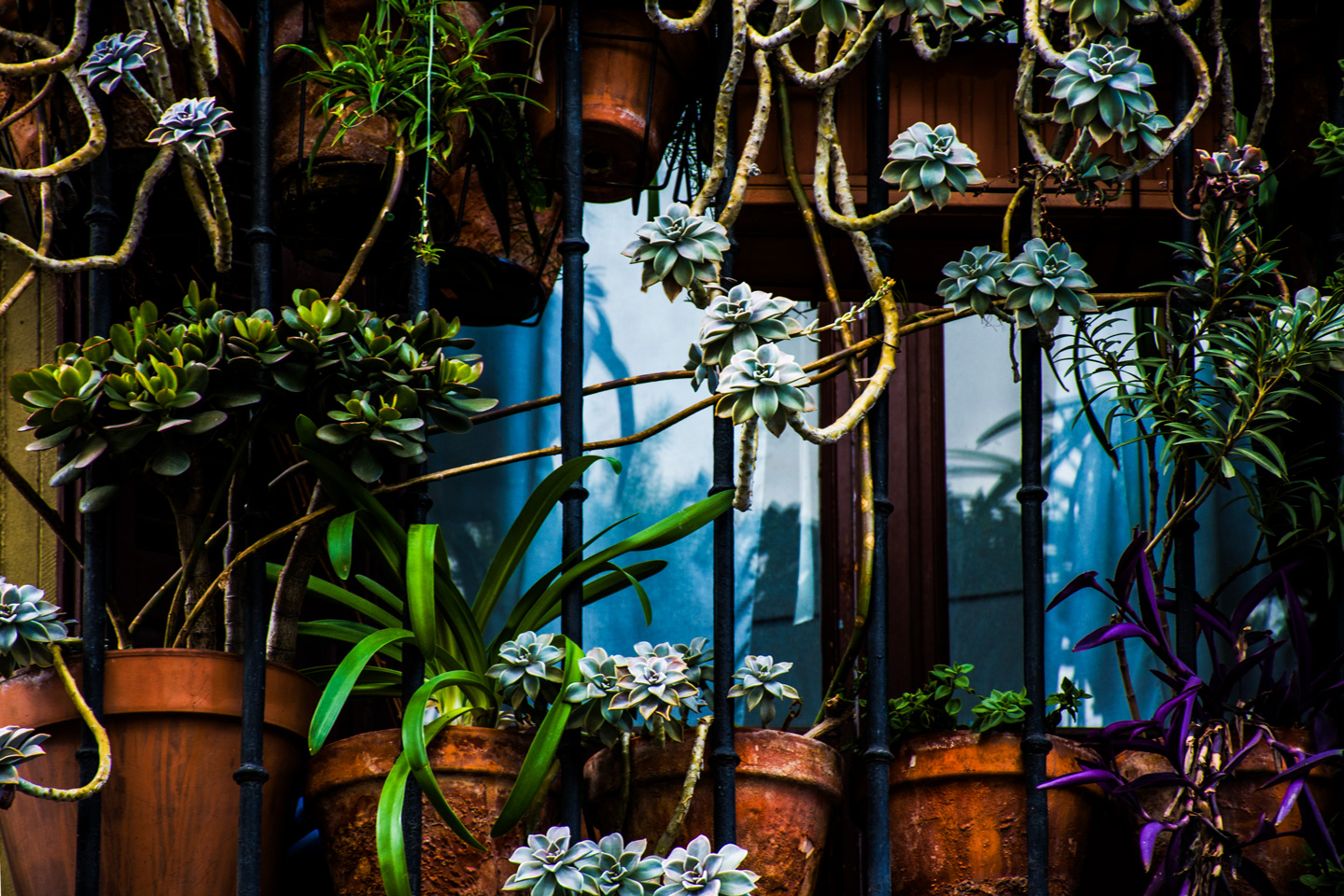 Madrid   Balcony   Af   Kirsten   Stigsgaard