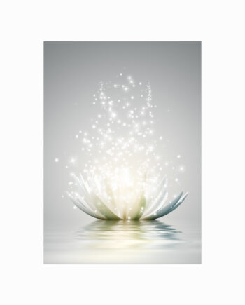 Magic   Lotus