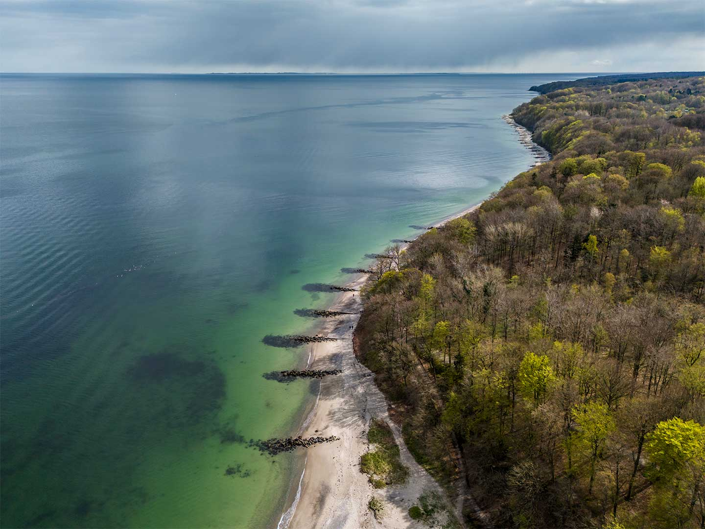 Marselisborg   Skov   Af   Kenneth   Bagge
