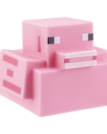 Minecraft   Gris   Badeand