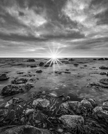 Monochrome   Sunset   Af   Cato   Johan   Rød   Photography