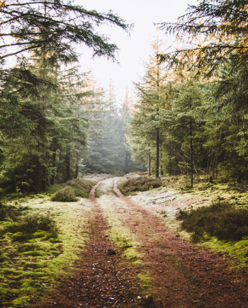 Nationalpark   Thy   I   Af   Torben   Hedegaard