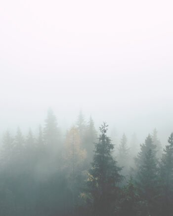 Natur   Dis   Af   Plakatwerket