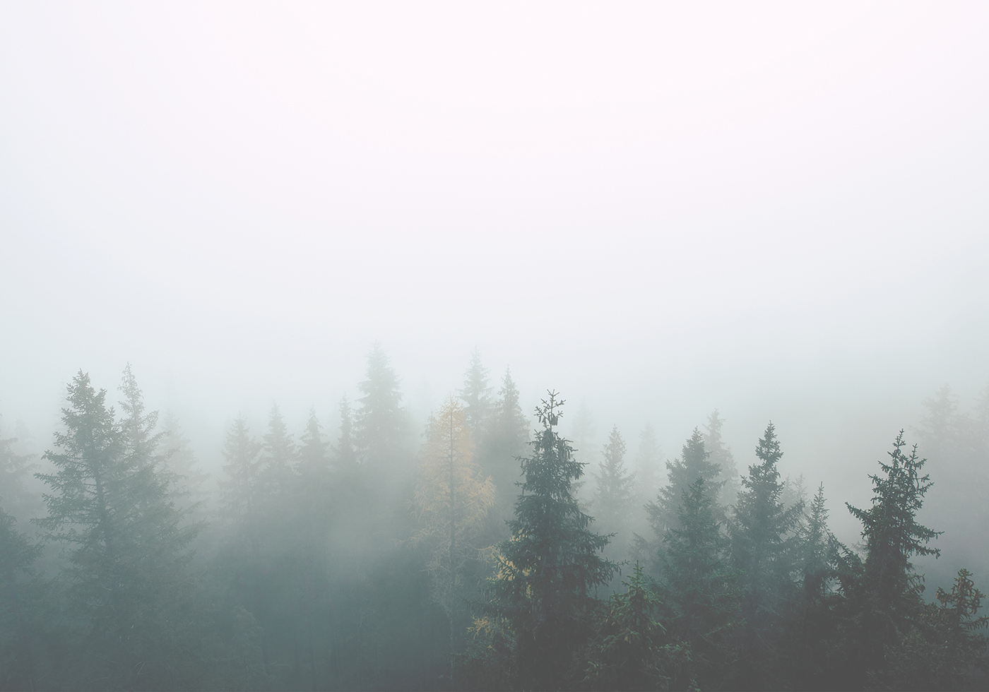 Natur   Dis   Af   Plakatwerket
