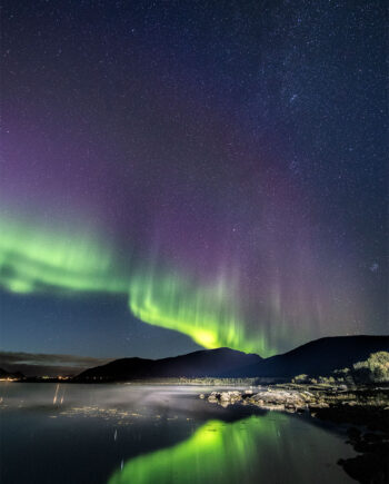 Night   Fog   Af   Frank   Olsen