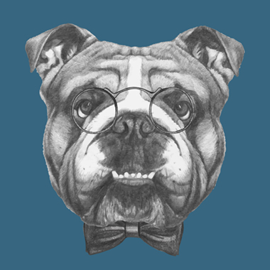 No   Diggity   Dog   Af   Illux