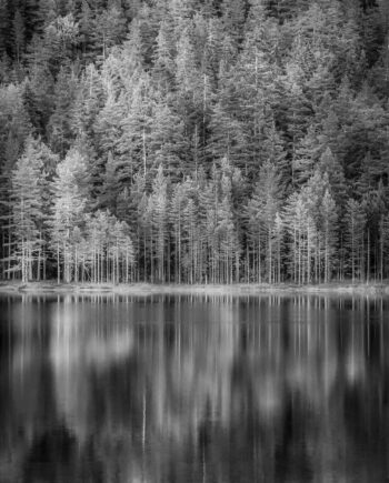 Norwegian   Woods   Af   Kenneth   Bagge