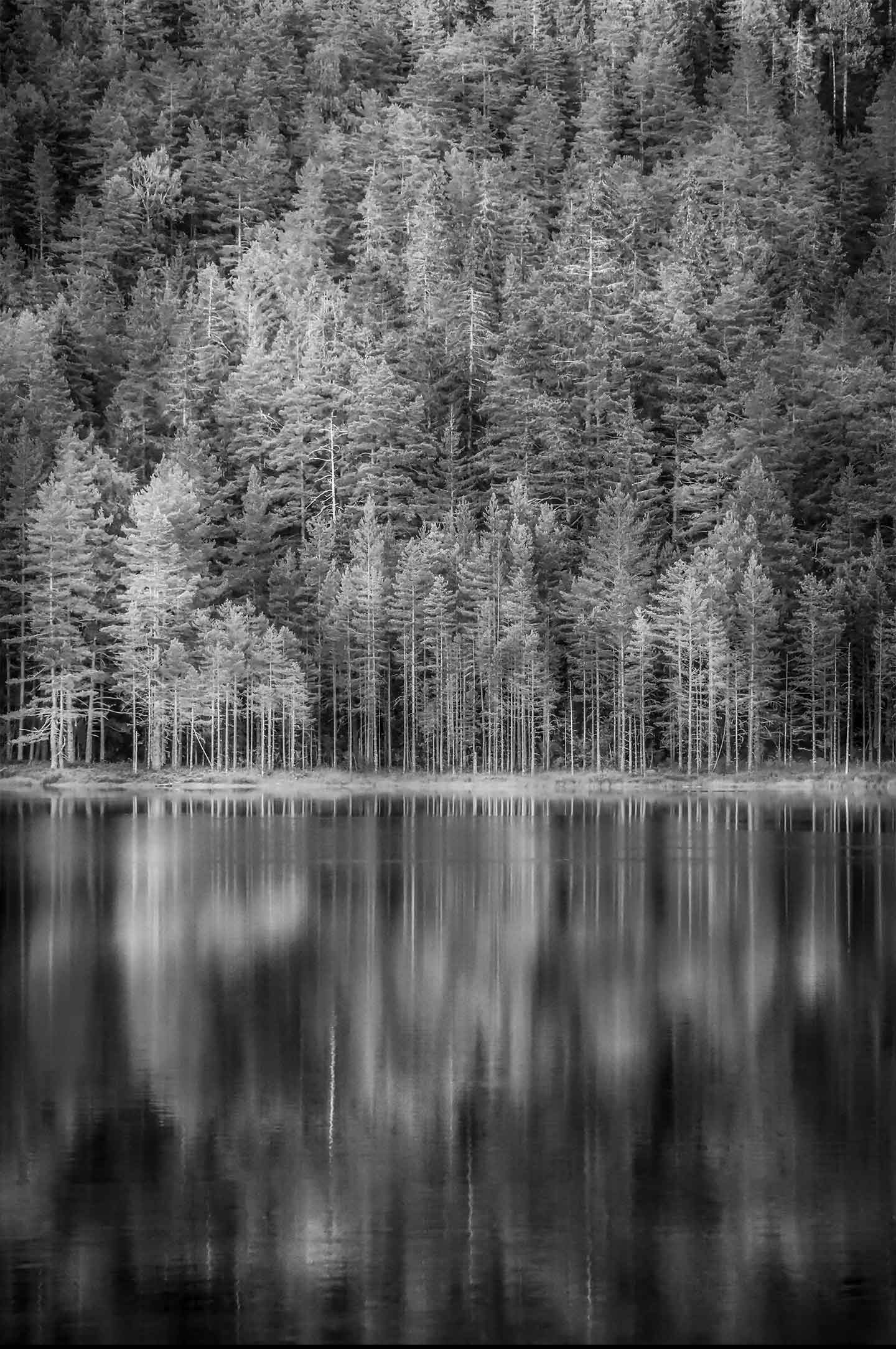 Norwegian   Woods   Af   Kenneth   Bagge