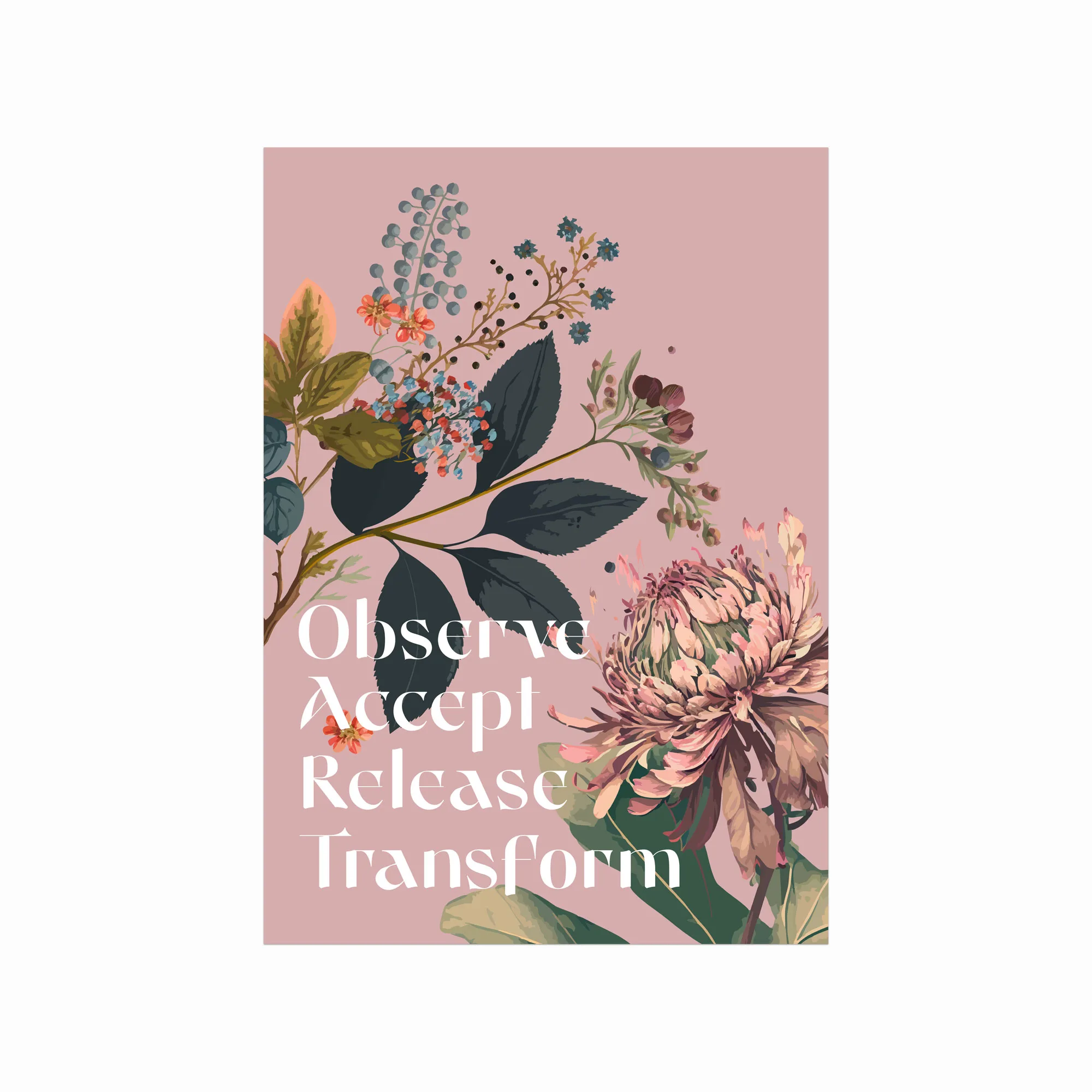 Observe Accept Release Transform