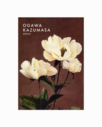 Ogawa   Kazumasa    Peony