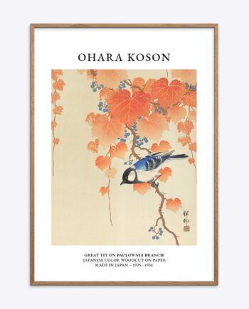 Ohara   Koson   Great   Tit