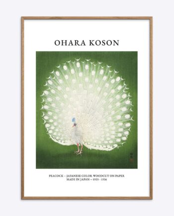 Ohara   Koson   Peacock