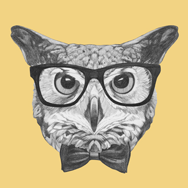 Ordinary   Owl   Af   Illux