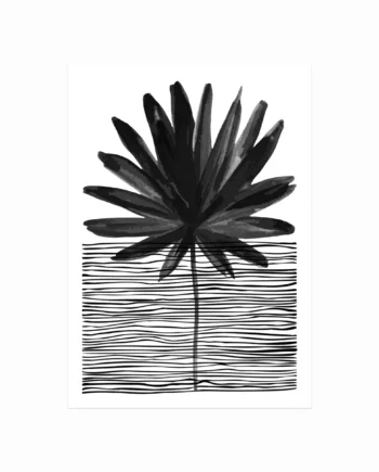 Palm   No    01