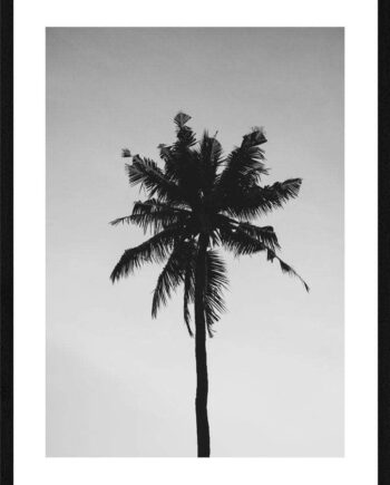 Palme   Plakat