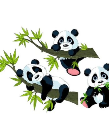 Panda   Wallsticker    Tre   Super   Søde   Pandaer    40x60cm