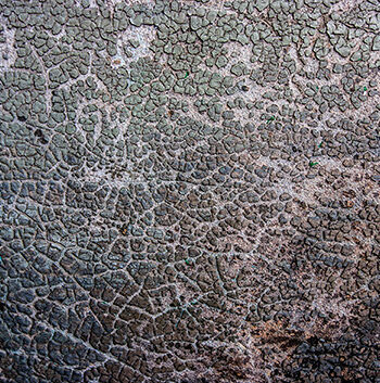 Past   Times   Wall   Af   Kirsten   Stigsgaard