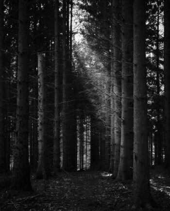Path   Af   Jakob   Evers