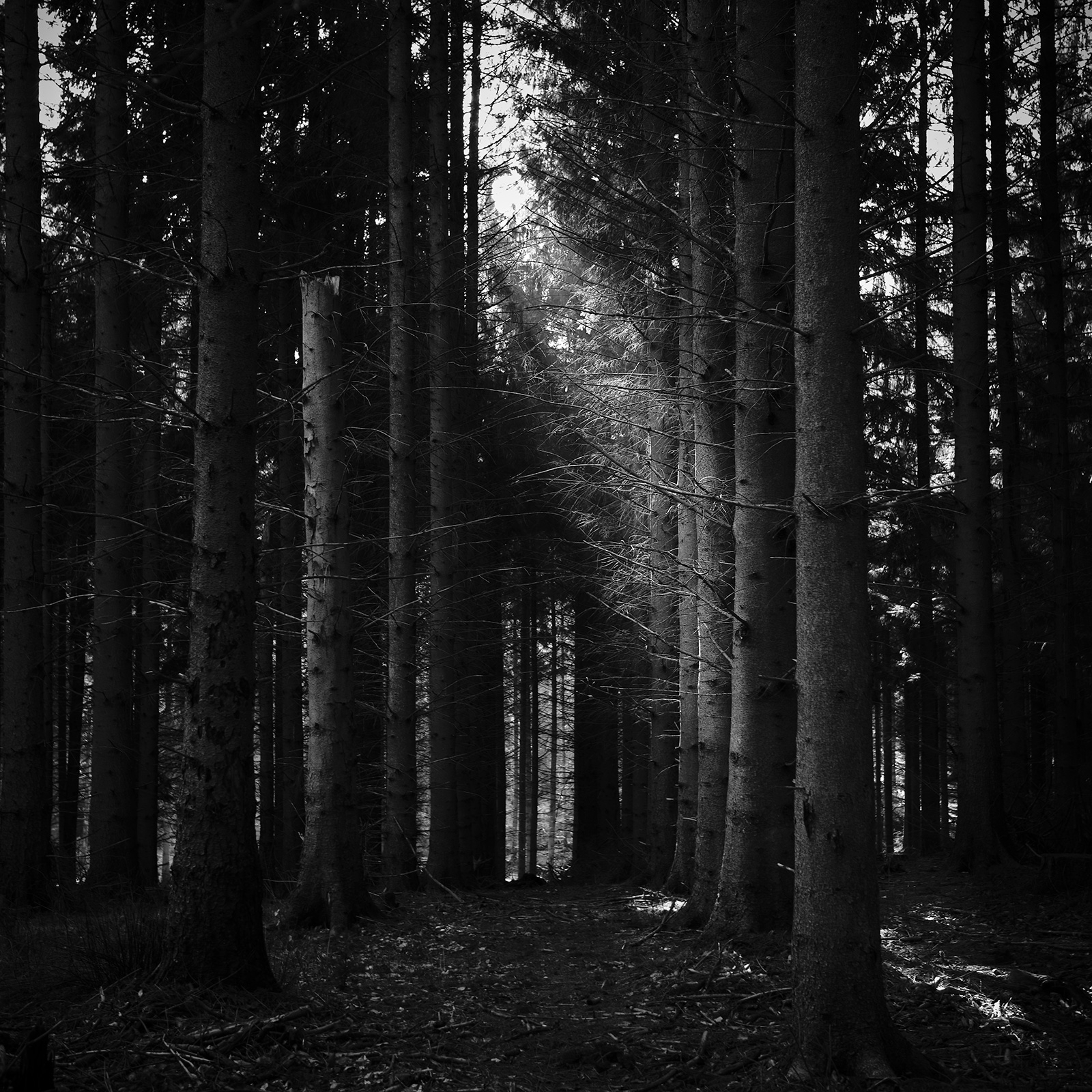 Path   Af   Jakob   Evers