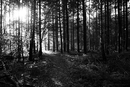 Path   Of   Light   Af   Kirsten   Stigsgaard