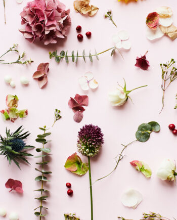 Pink   Flower   Af   Camilla   Schmidt