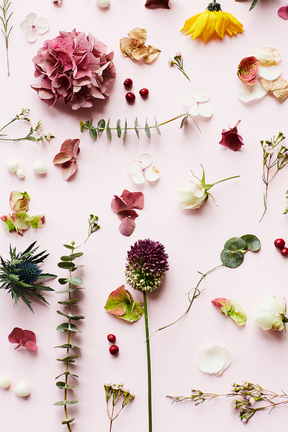 Pink   Flower   Af   Camilla   Schmidt