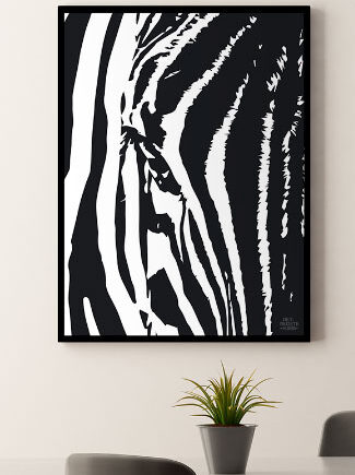 Plakat   Med   Zebra   21   X   29        A4    Kr    199  -