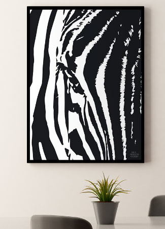 Plakat Med Zebra 21 X 29 A4 Kr 199 -