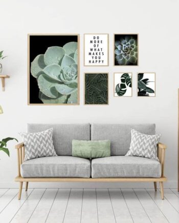 Plante   Billedvæg