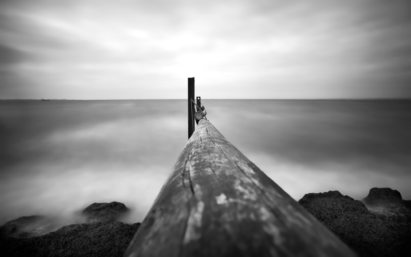 Poles   Af   Gustavo   Orensztajn
