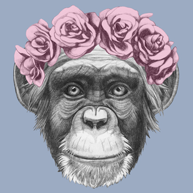 Pretty   Little   Monkey   Af   Illux