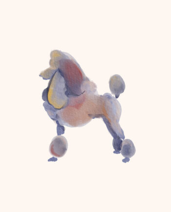 Puddelhunden   Af   Maladroit