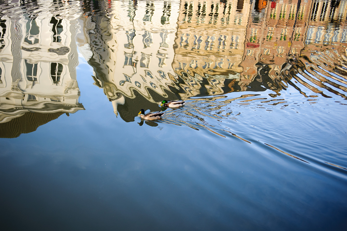 Reflection   In   Ghent   Af   Julie   Aucoin