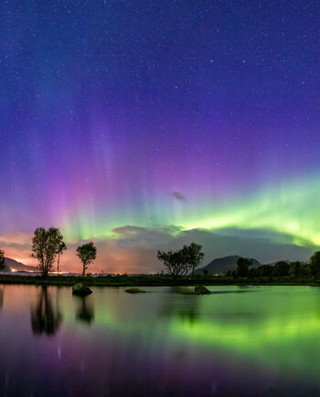 Reflections   In   The   Pond   Af   Frank   Olsen