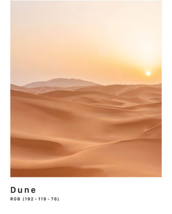 Rgb   Dune   Af   Plakatwerket