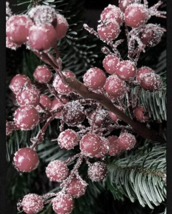 Røde   Bær   Juleplakat