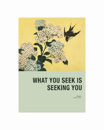 Rumi    What   You   Seek