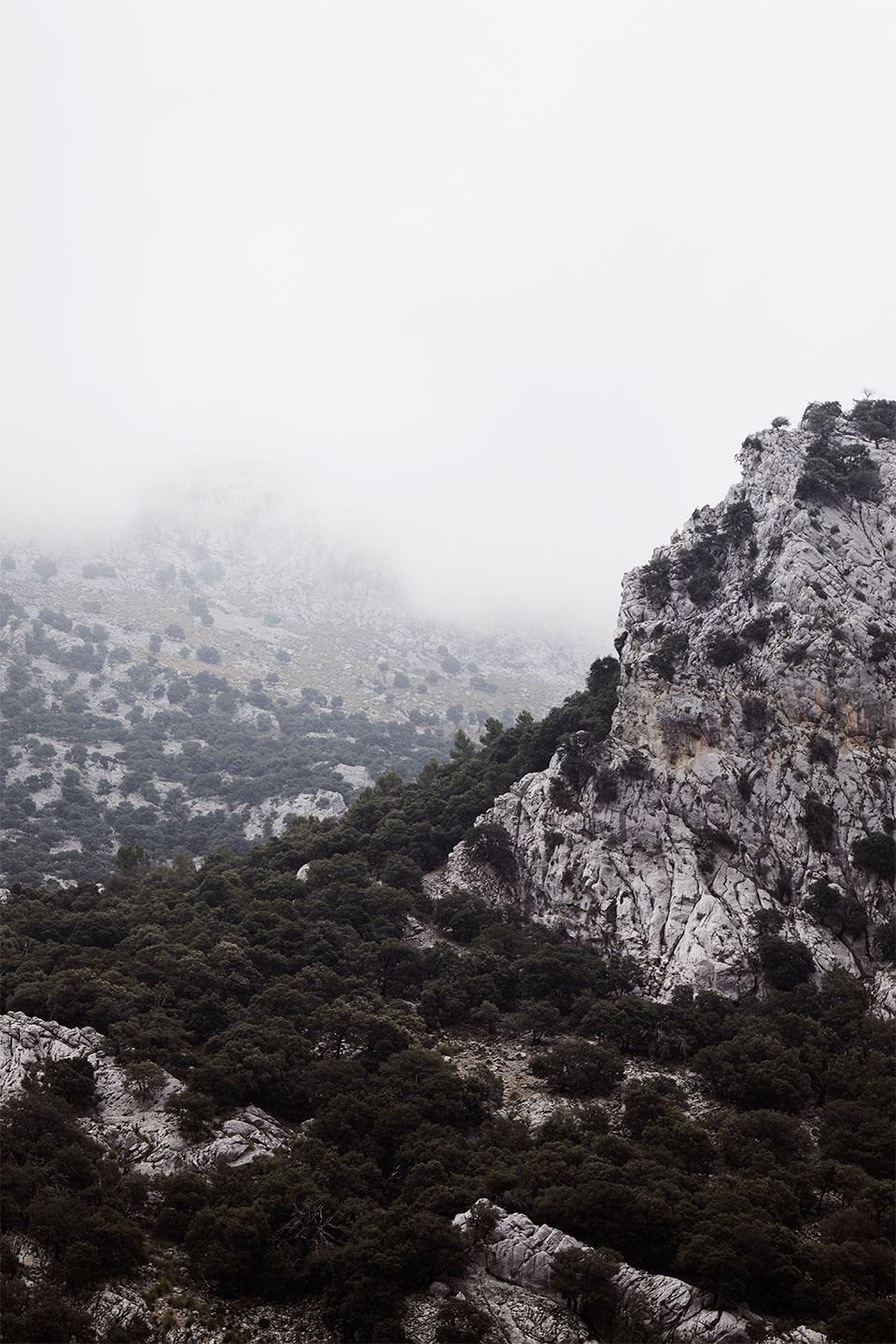 Sa   Calobra   No        Af   Camilla   Schmidt